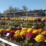 Galvanized Greenhouse Tubing
