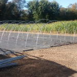 Greenhouse Galvanized Tubing