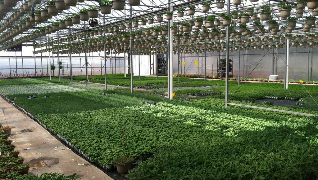 Gatorshield Tubing for Greenhouse 2